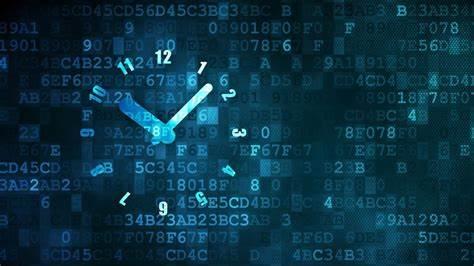  梅州海关供港澳活猪远程检疫监装模式正式启动