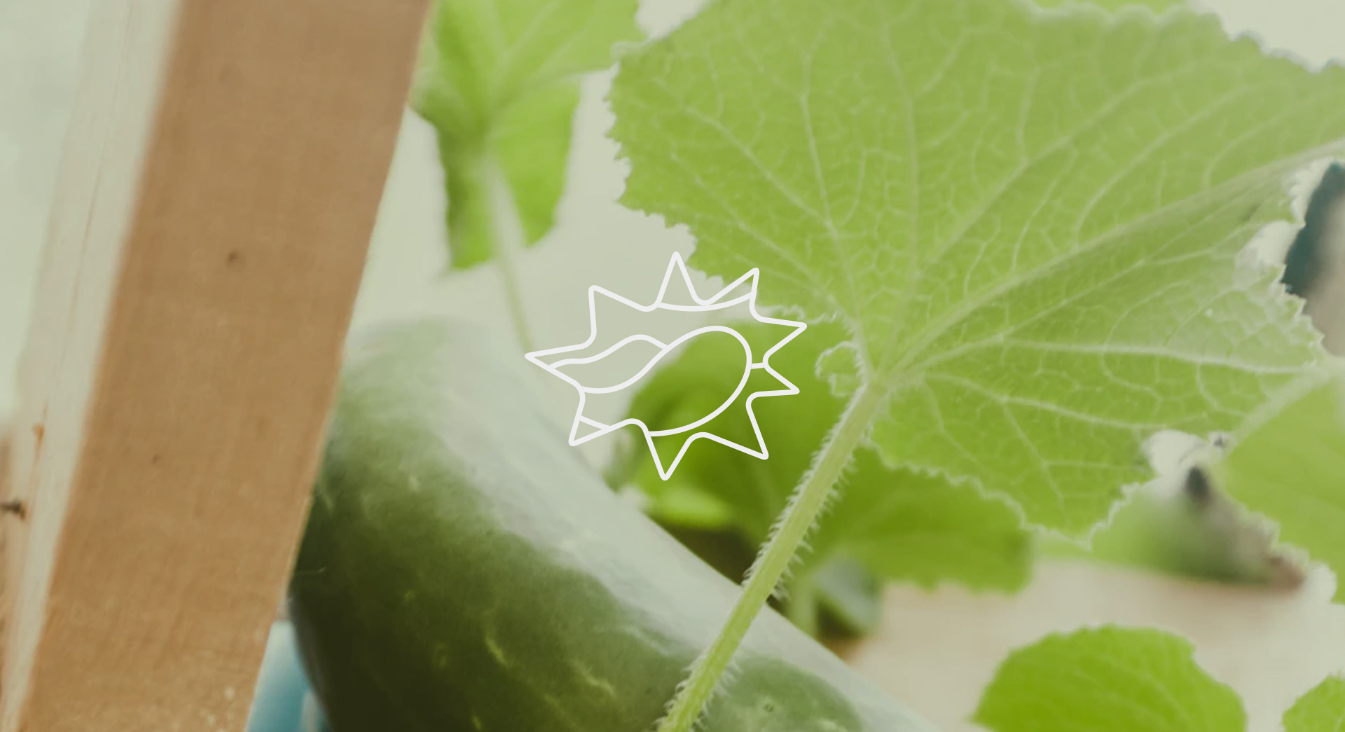 国铁集团:充电宝上火车 尚不需检查3C标识