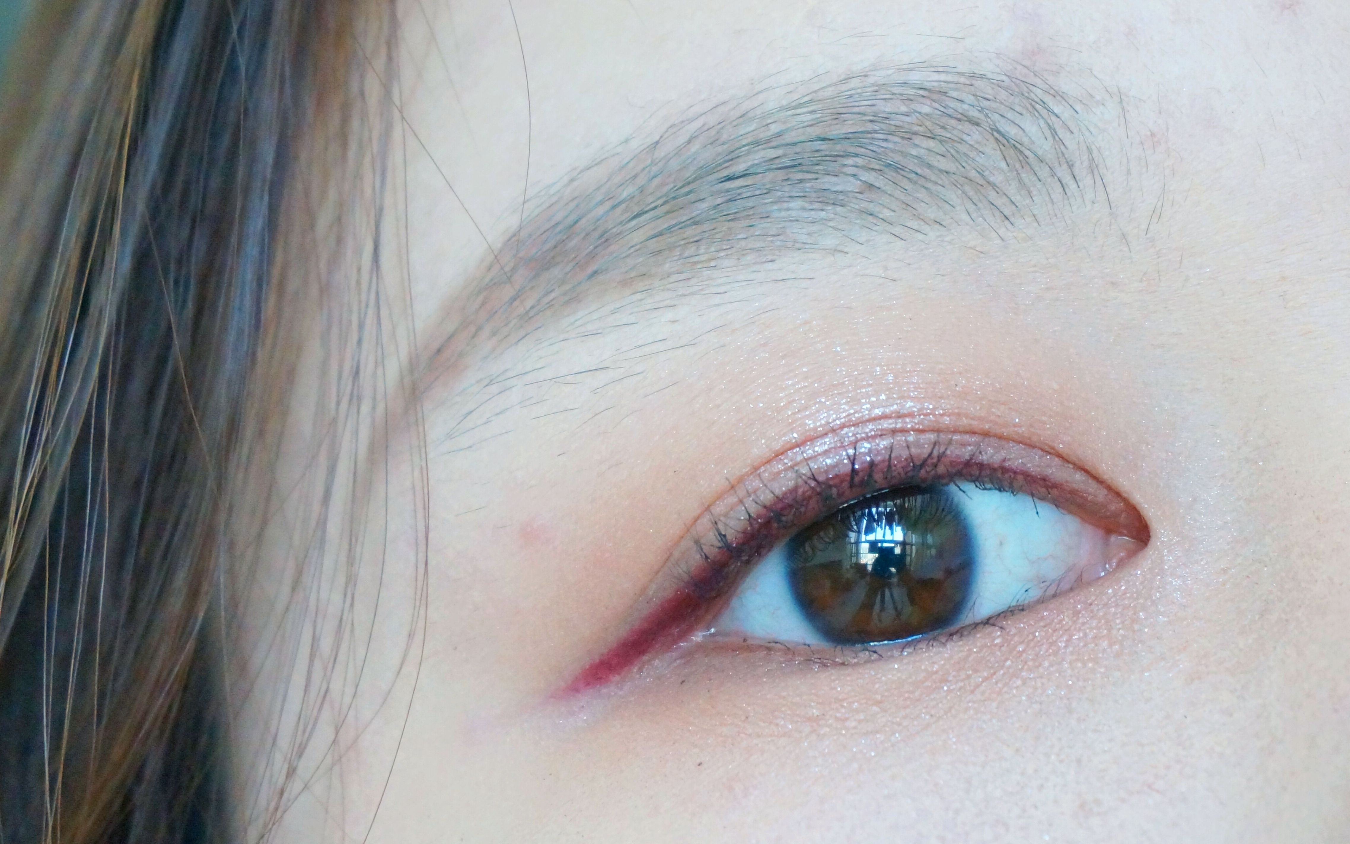  广东好物在2025全国名特优新农产品产销对接活动上实力圈粉